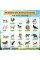 Звуковая приманка Animal Caller горн с 30 звуками диких животных