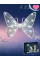 Світні крила феї Wings of 840 з LED-підсвіткою, музикою і регульованими ременями, 64 см