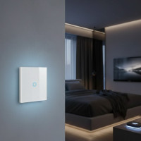 Білий розумний сенсорний вимикач з одним каналом, сенсорне керування
